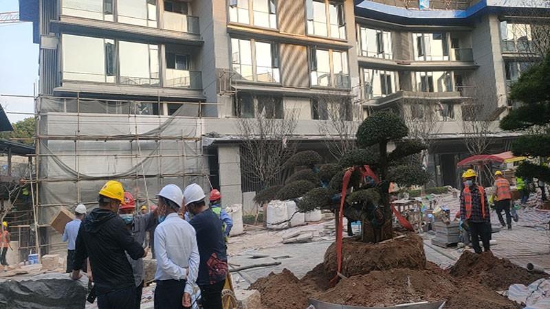 广州奥体板块--合景臻颐府项目